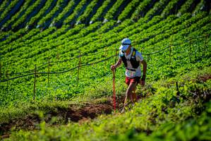 BIB: 
                            <button type="button" onclick="openModal(19160515)" class="btn btn-primary btn-sm float-right btn-popup" data-toggle="modal" data-target=".modal-high-quality">
                        <i class="fas fa-shopping-cart"></i> Add to Cart
                    </button>
                                            <button type="button" onclick="isThisMe(19160515, true)" class="btn btn-success btn-sm float-right btn-popup btn-isme hidden" data-toggle="tooltip" data-placement="bottom" title="นี่คือรูปของคุณใช่ไหม คลิกที่นี่เพื่อเอาเข้าอัลบั้ม">
                        <i class="fas fa-plus"></i> Add to album
                    </button>
                    <button type="button" onclick="isThisMe(19160515, false)" class="btn btn-warning btn-sm float-right btn-popup btn-isnotme hidden">
                        <i class="fas fa-ban"></i> Remove from album
                    </button>